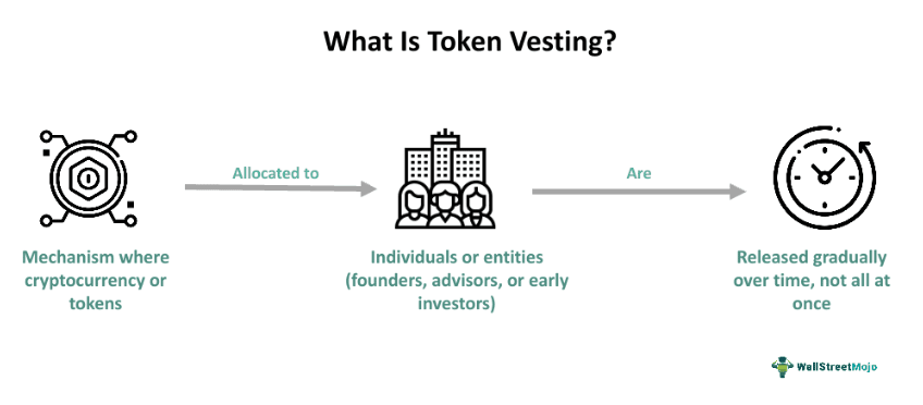 Token-Vesting-blockhay