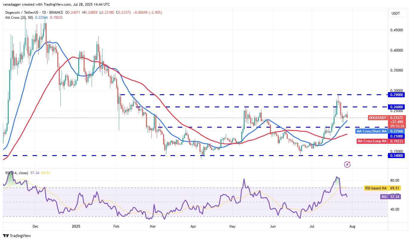 Dự đo&aacute;n gi&aacute; Dogecoin.webp
