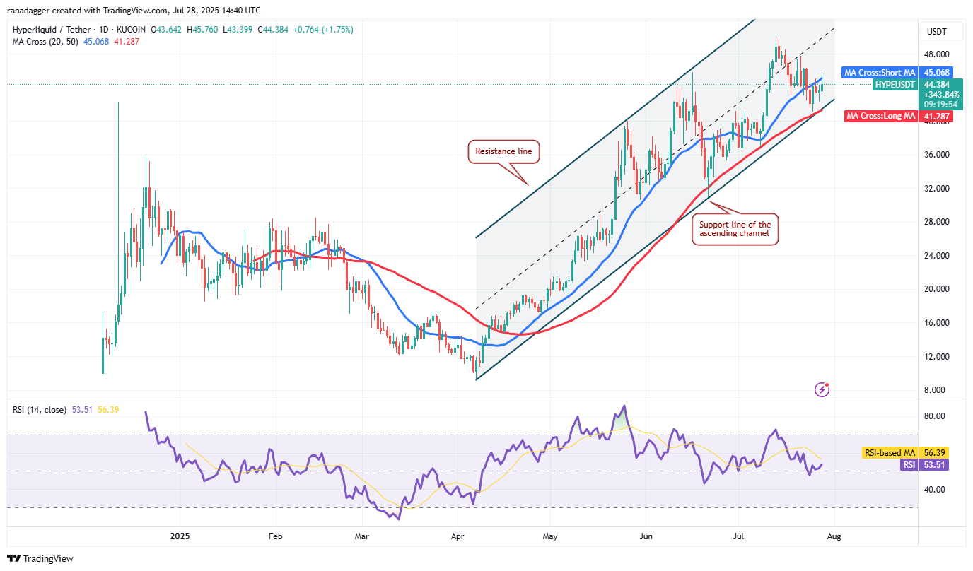 Dự đo&aacute;n gi&aacute; Hype.webp