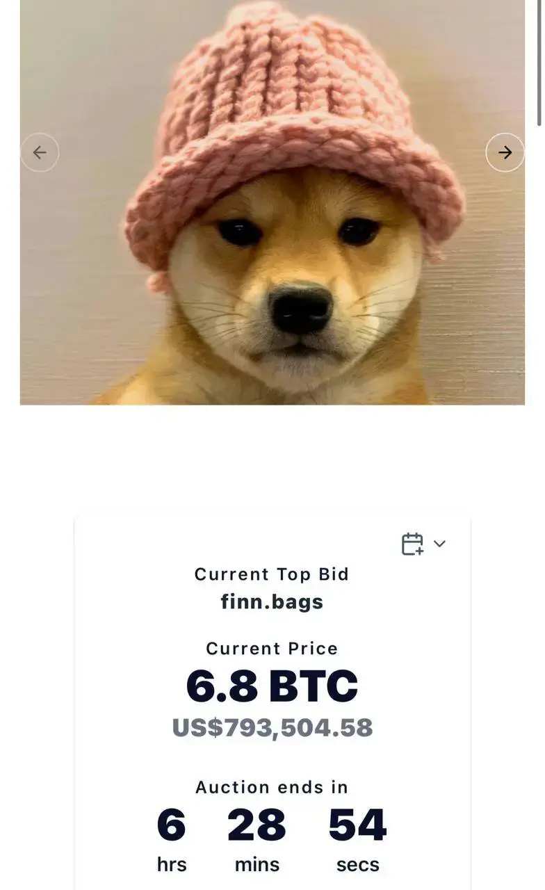 NFT Dogwifhat trên Ord City.webp