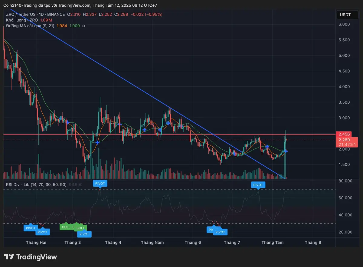 Biểu đồ 1D của ZROUSDT.webp