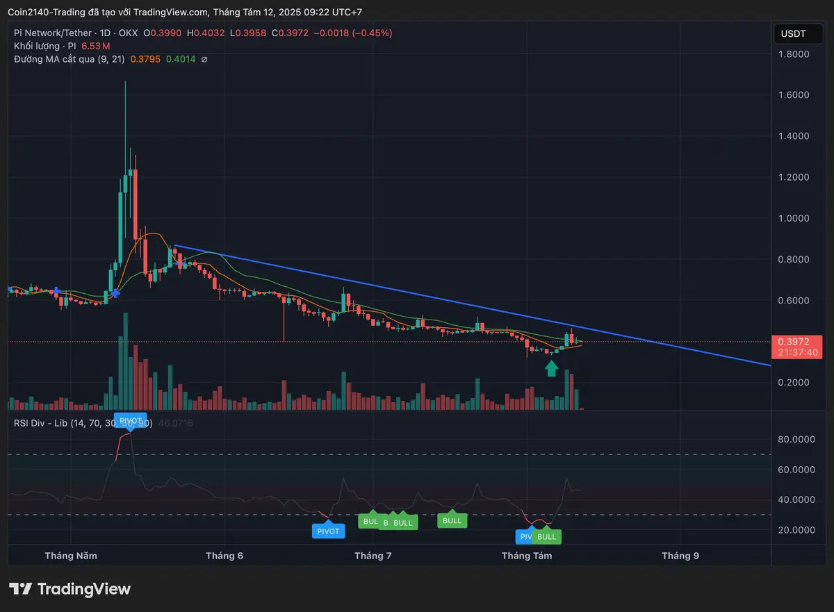 Biểu đồ PIUSDT 2025.webp