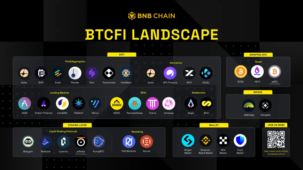 Hệ-sinh-th&aacute;i-BTCFI-BNB-Chain.png