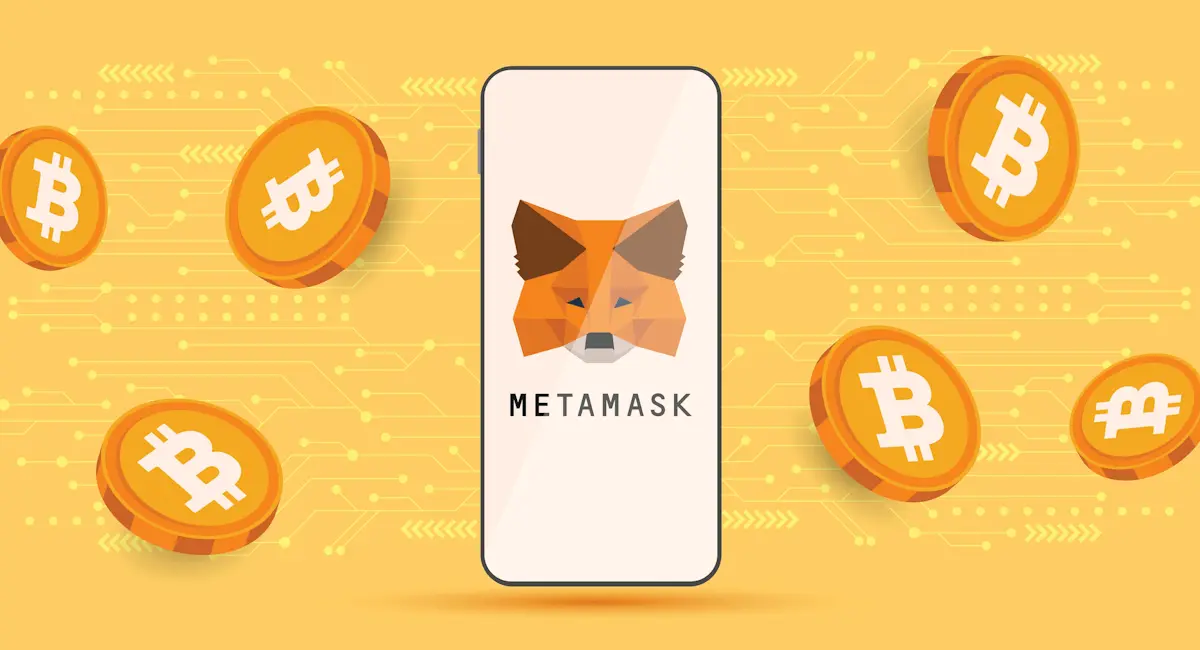 1709657163-how-to-setup-metamask-wallet.png