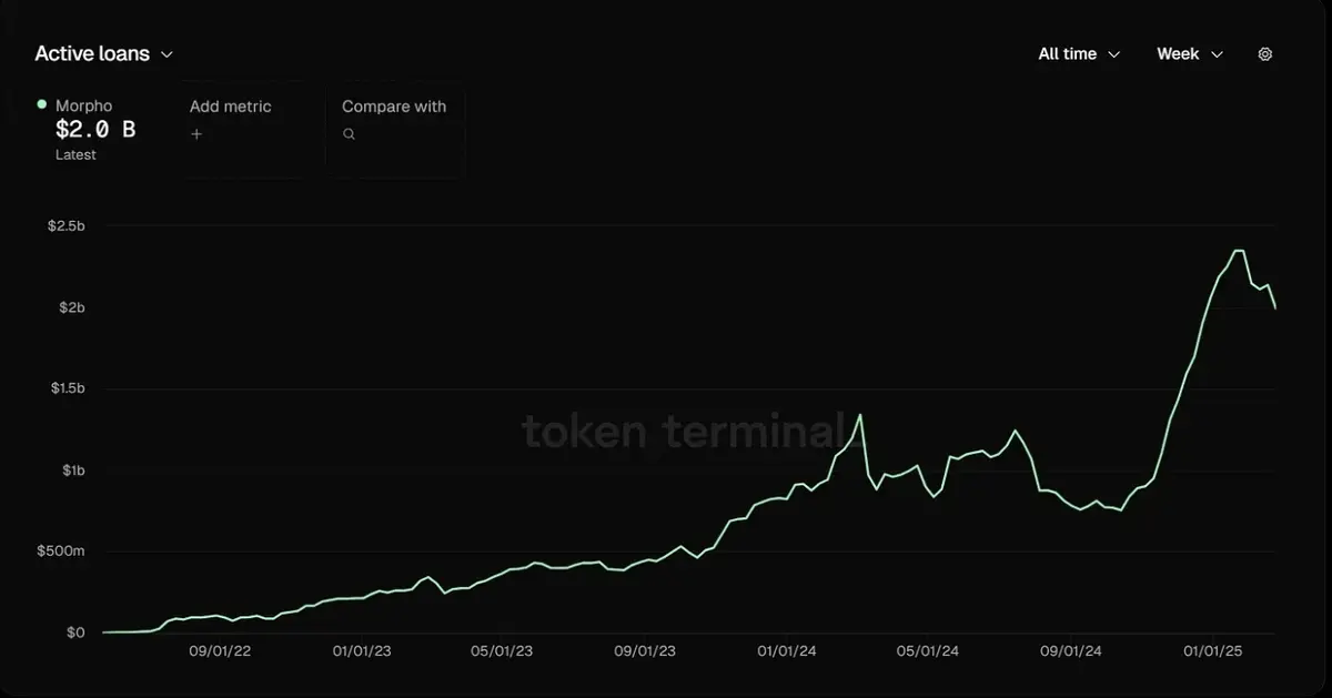 Research_2_Morpho cơ chế lai và lời giải .webp
