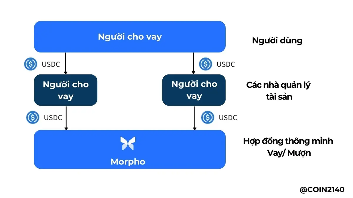 Research_2_Morpho là gì (1).webp
