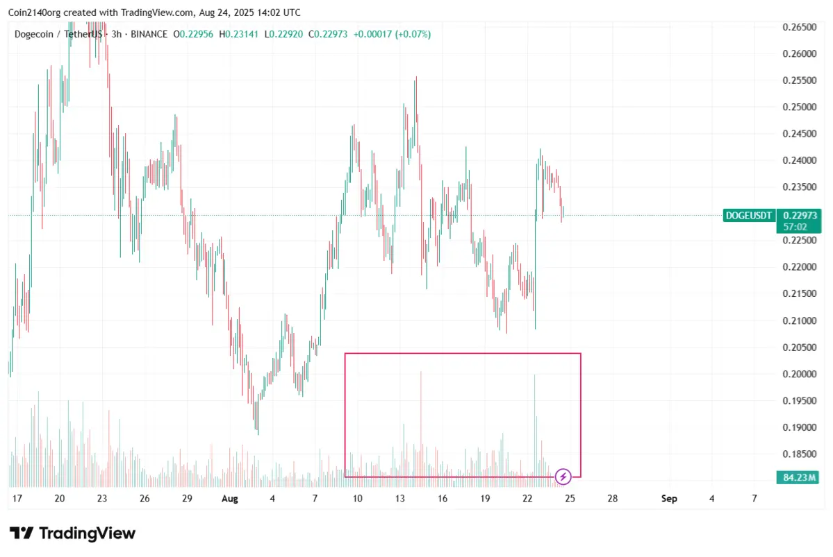 DOGEUSDT_2025-08-24_21-02-58.png