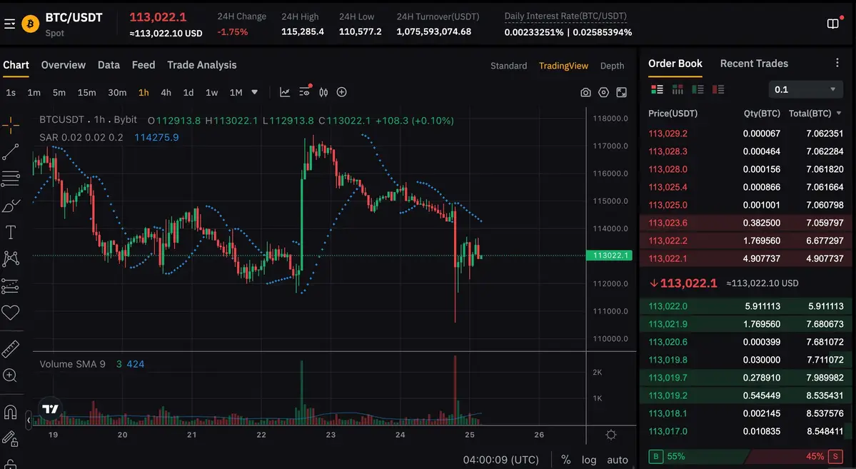 Bitcoin giá 113.000.webp