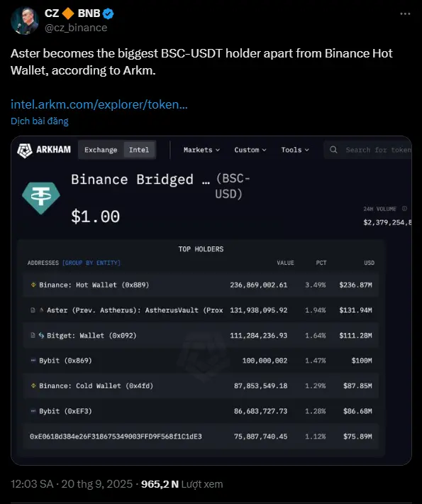 Chi tiết tweet của CZ.png