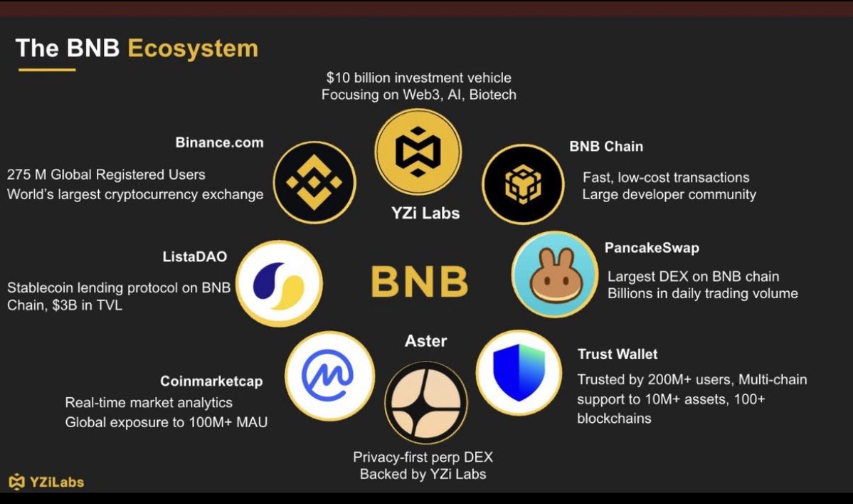 Binance ecosystem.webp