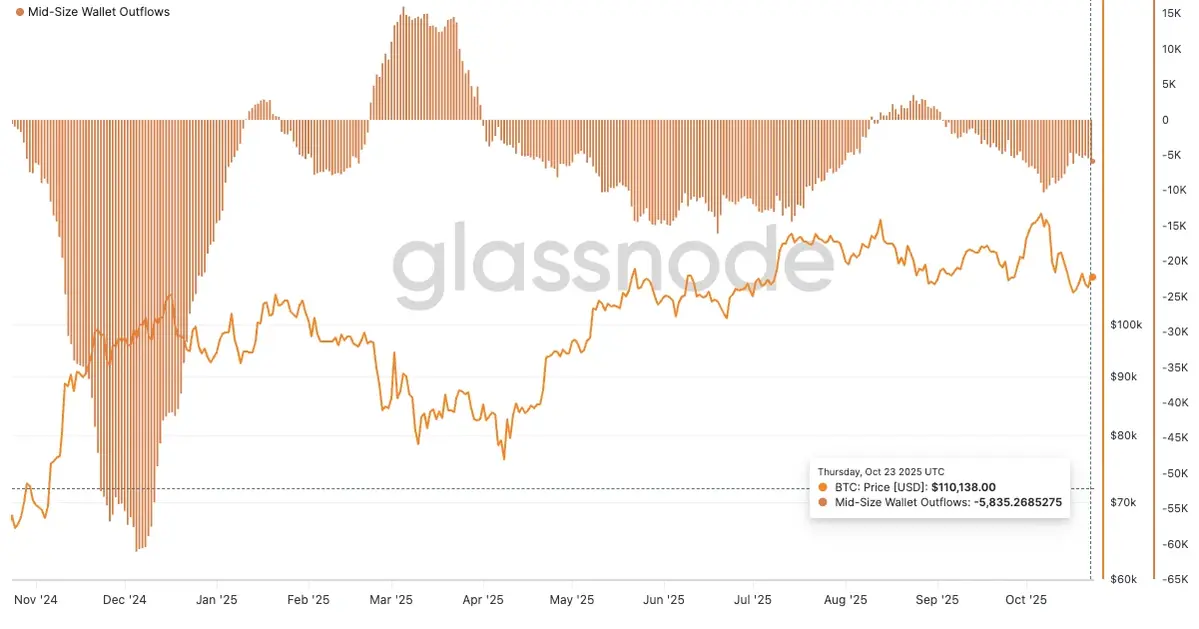 Nhóm ví 0,1&ndash;10 BTC tiếp tục dẫn đầu xu hướng bán kể từ tháng 11-2024..webp