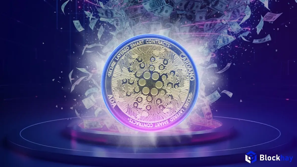 Chuyện thật như đùa Swap nhầm stablecoin, người chơi Cardano mất trắng 6 triệu USD (1) (1).webp