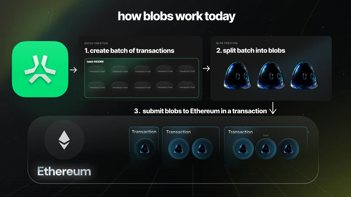 G58BOh9aoAAkF5U.jfif