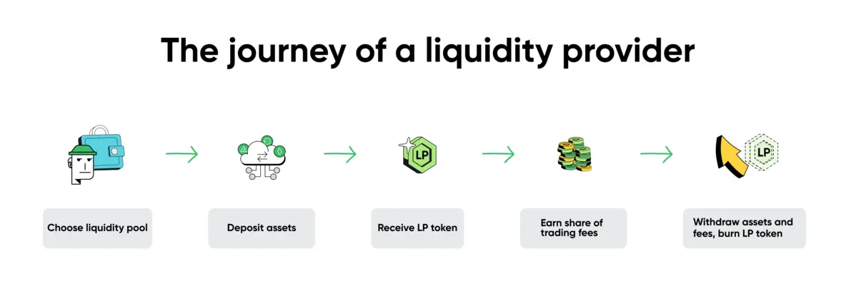667066e4d0f74a1af7d90823_Liquidity provider step by step.png