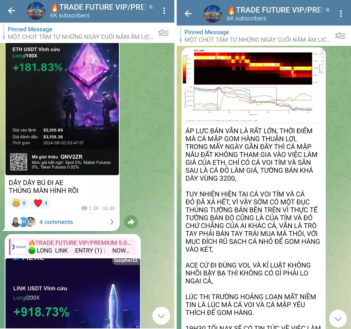 TRADE-FUTURE-VIP-PREMIUM-5.webp