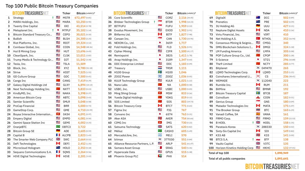 top-100-public-companies-btc (3).jpeg
