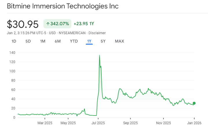 Bimine Immersion Technologies.webp