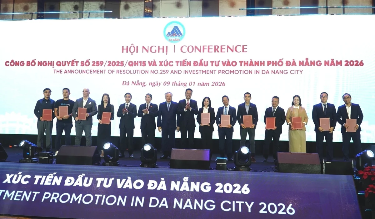 12 ông lớn trung tâm tài chính quốc tế Đà Nẵng.jpg