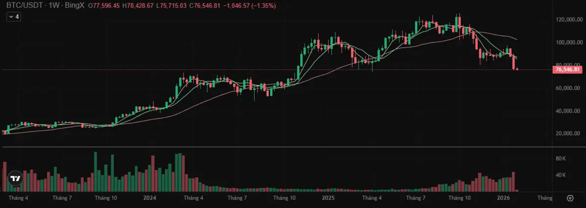 BTC 123.png