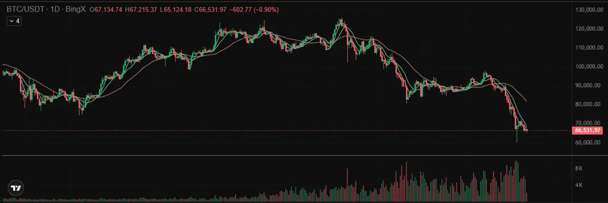 BTC BingX.png