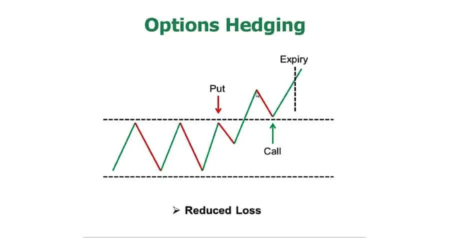 Options Hedging.jpg