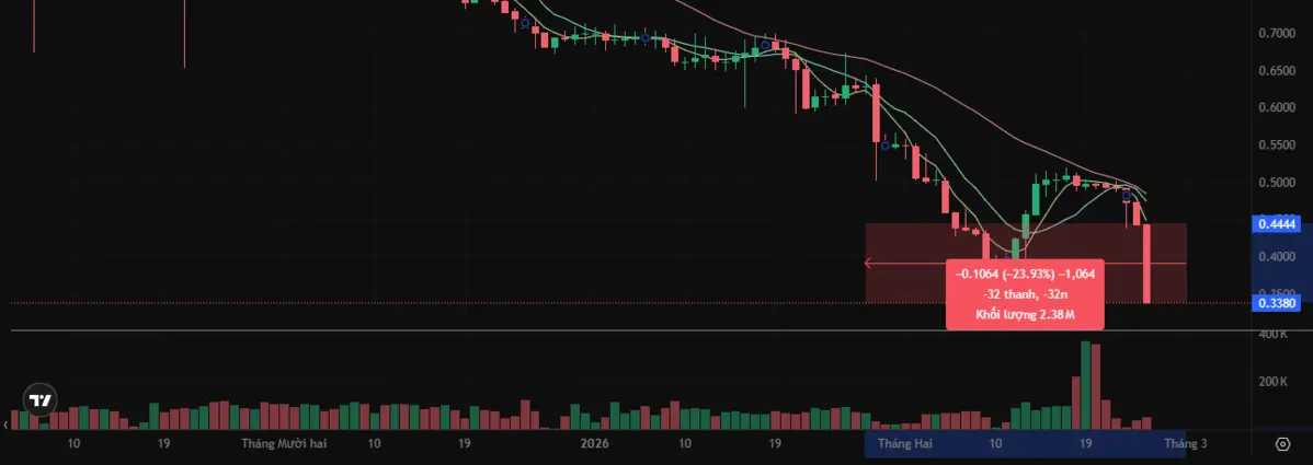 Gi&aacute; HOLD BingX.png