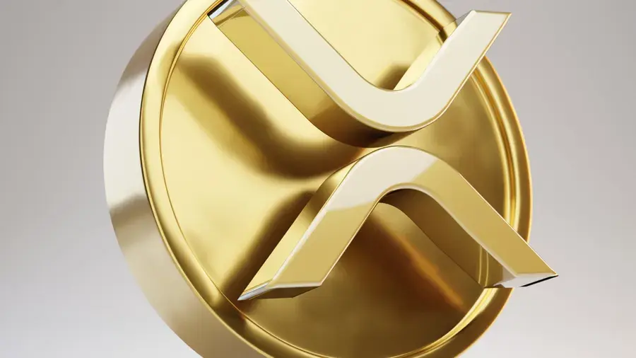 Cropped-scaled.webp-blockhay