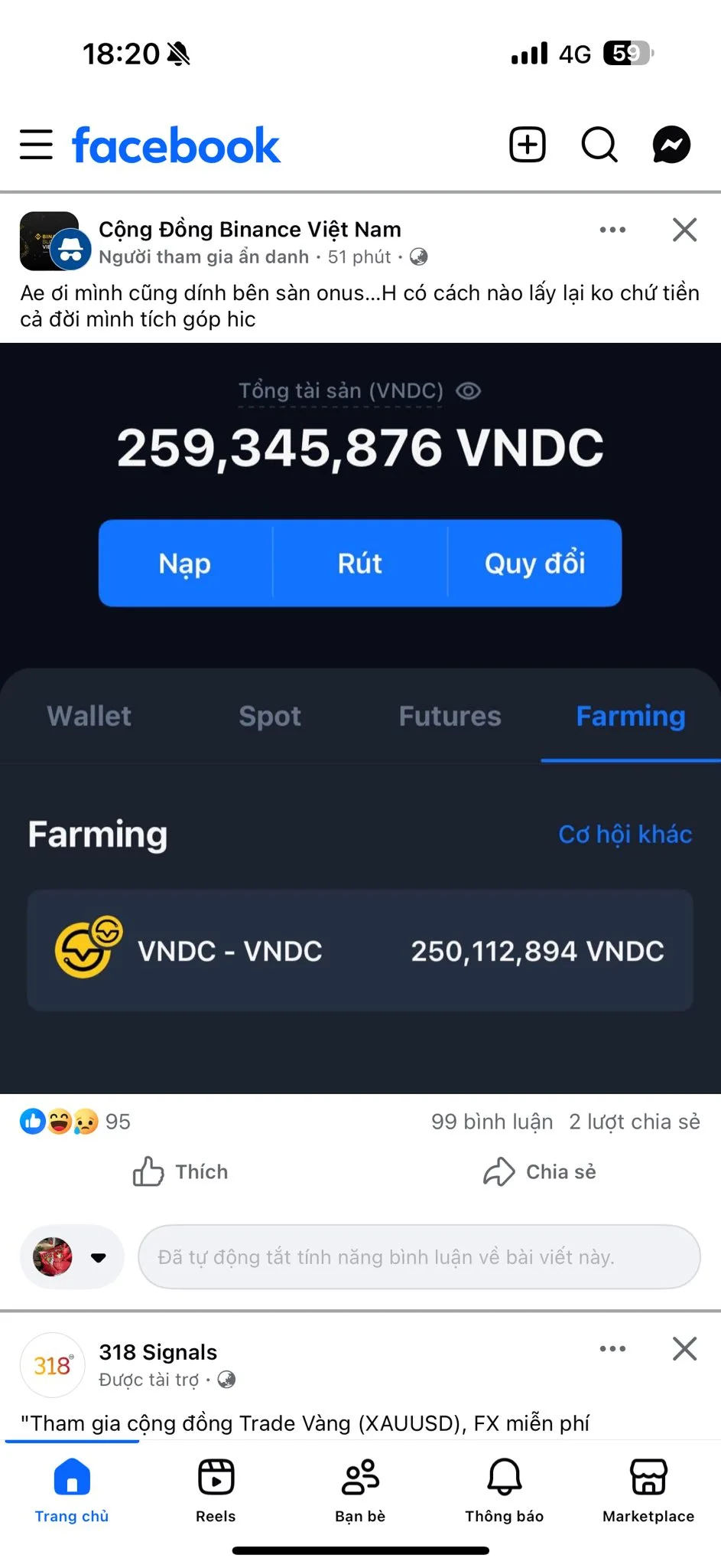 655448154_122119014645195700_36393079123540473_n.jpg