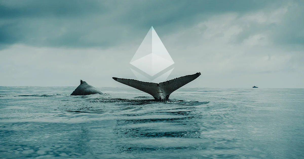 Ethereum-whale.jpeg