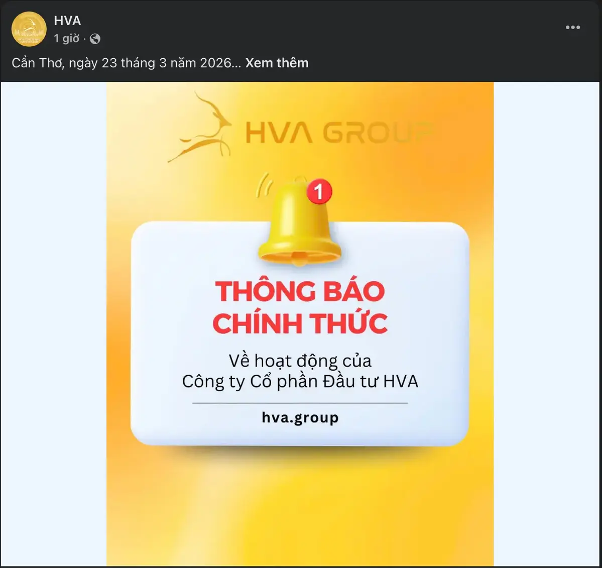 HAV Group.webp