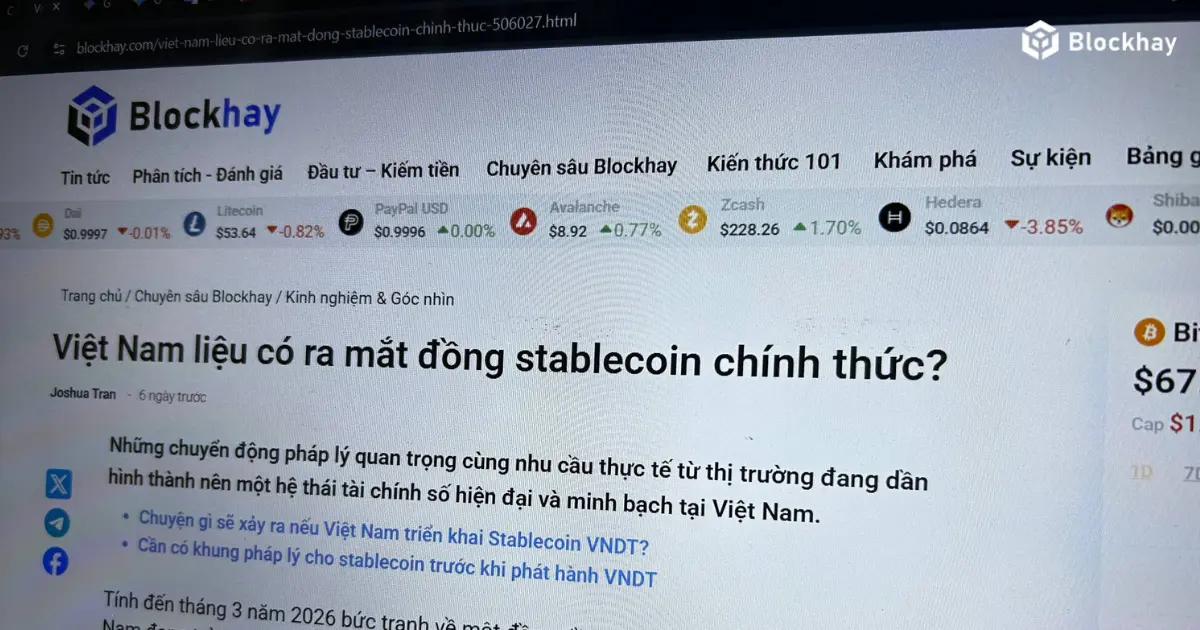 Tom Design - 2026-03-31T121226.491.png