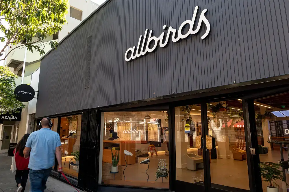 allbirds AI.webp