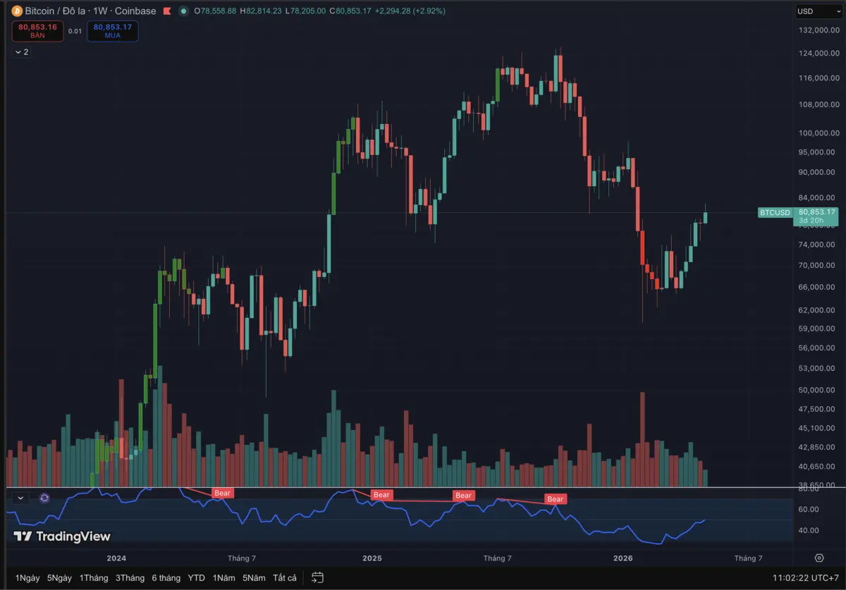 Bitcoin blockhay BTC.png