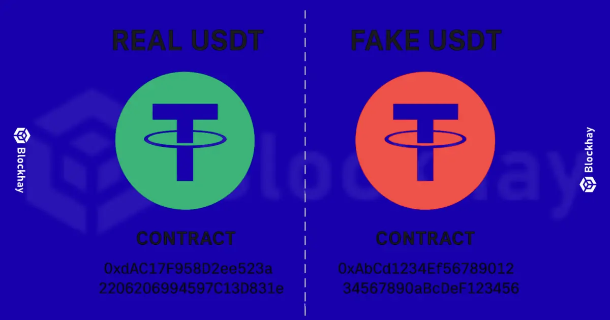 Tom Design - 2026-05-14T170434.972.png