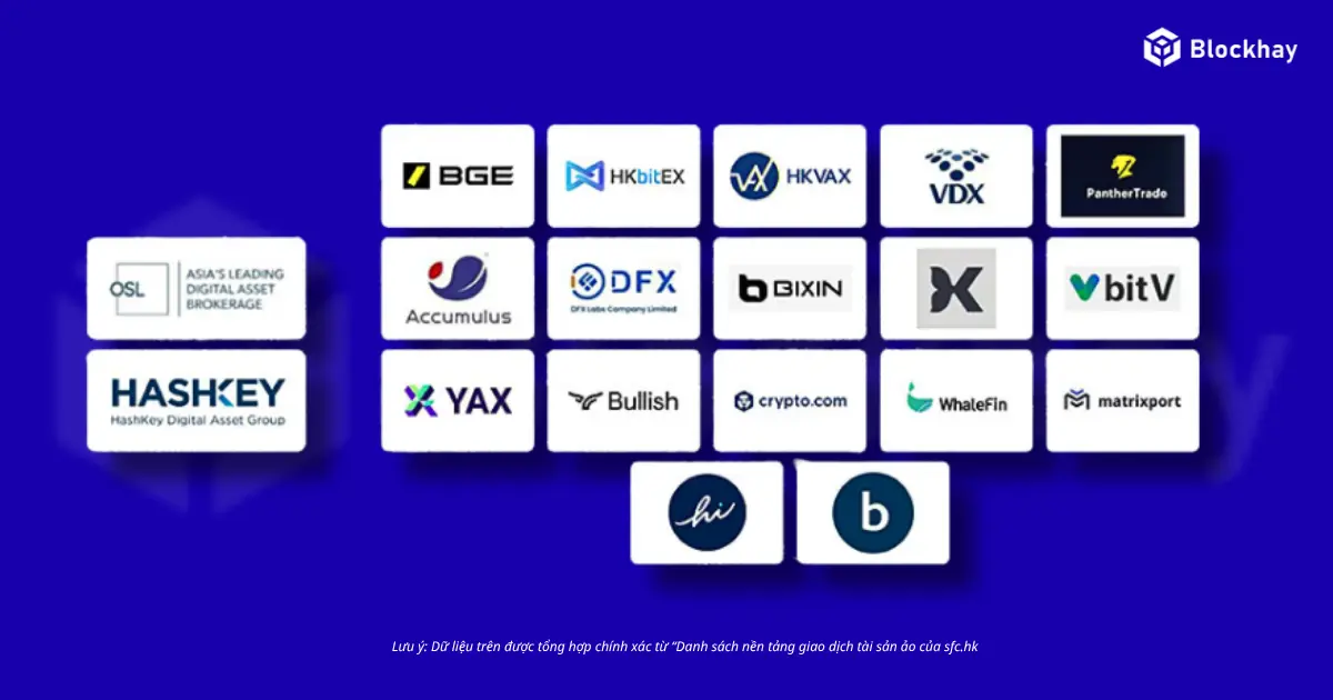 Tom Design - 2026-05-17T120452.908.png