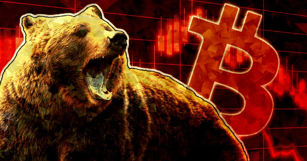 crypto-bear-market.jpg