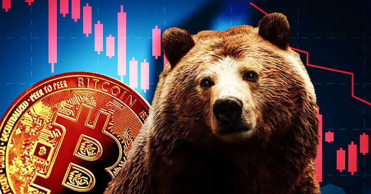 bitcoin bear market.jpeg