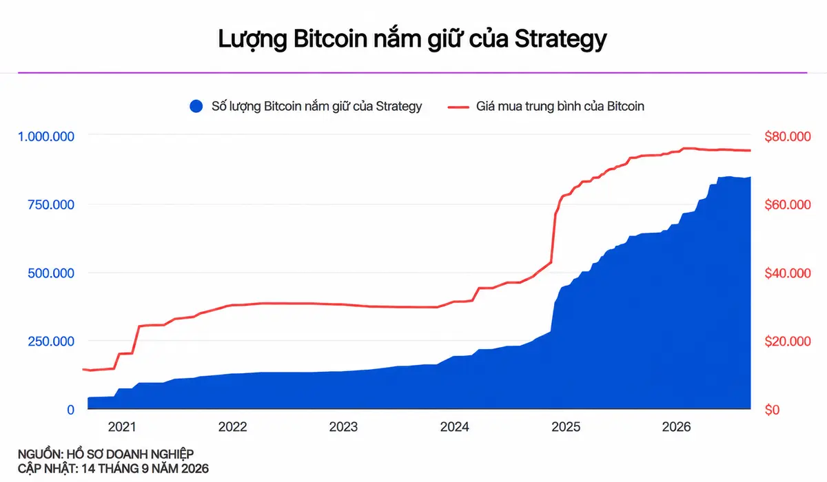 Biểu đồ lượng Bitcoin Strategy đang nắm giữ theo thời gian.png