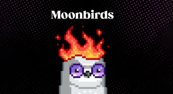 Moon-Birds-và-Towns