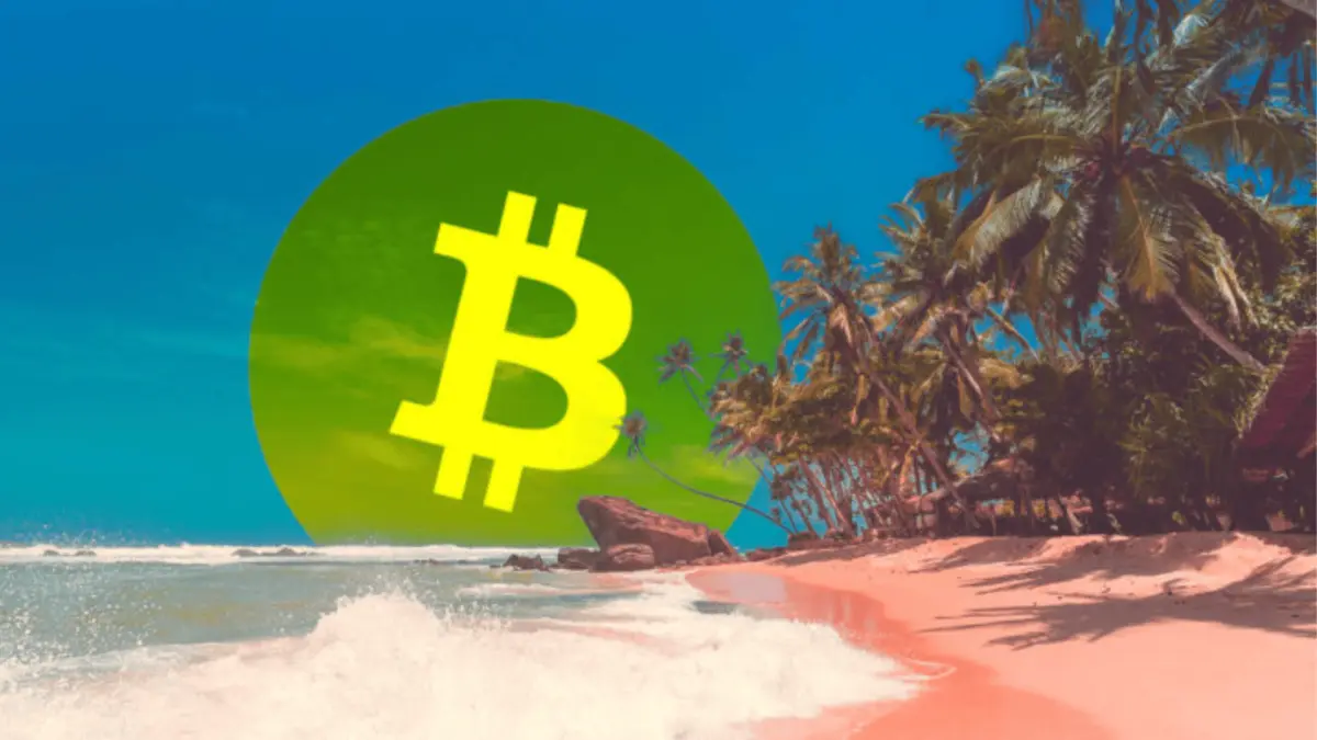 thiên đường crypto