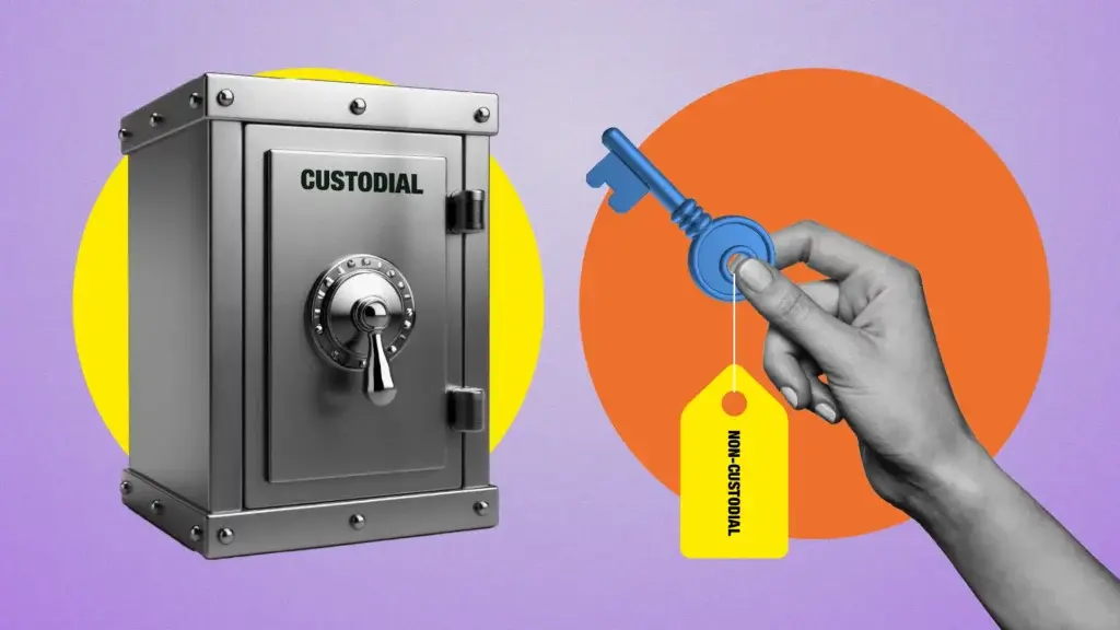 vi-non-custodial-la-gi