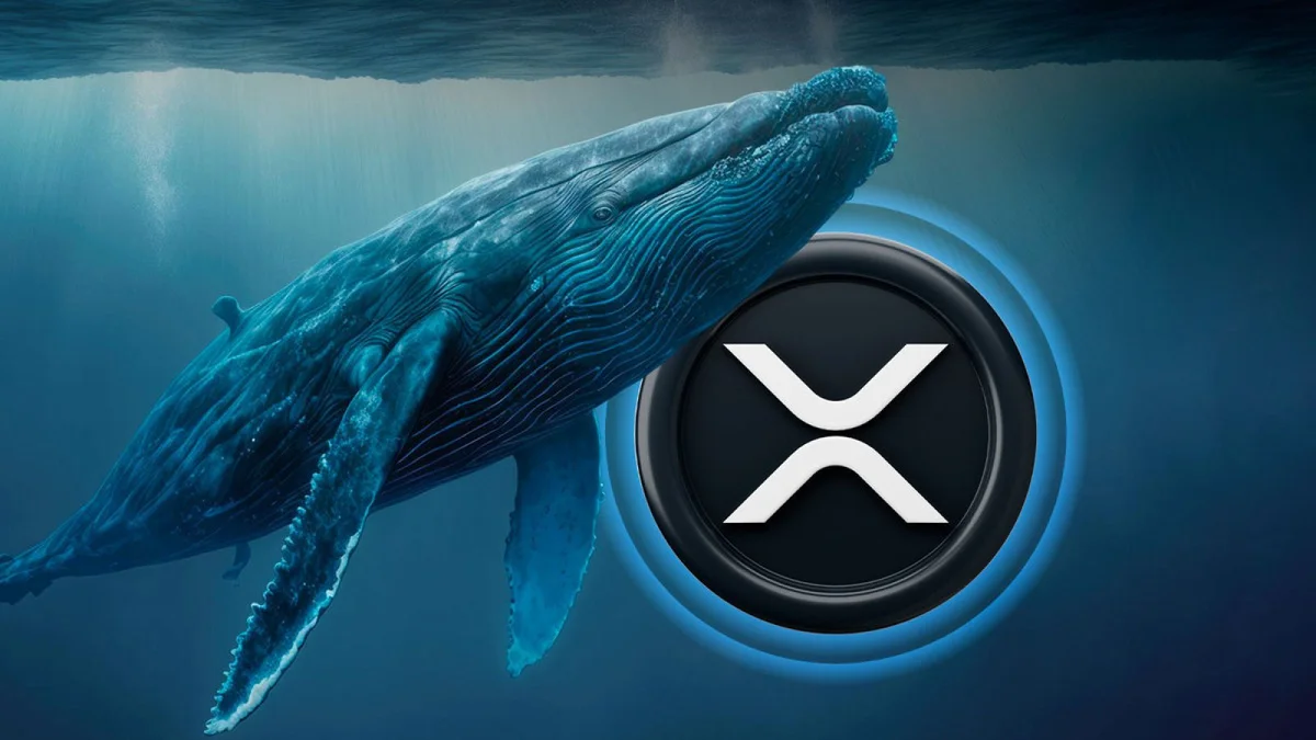 Ripple-chuẩn-bị-bị-bán-tháo