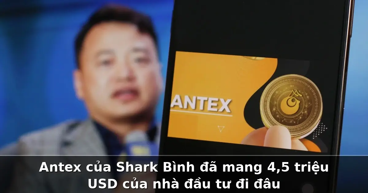 Antex-của-Shark-Bình-đã-mang-tiền-đi đâu