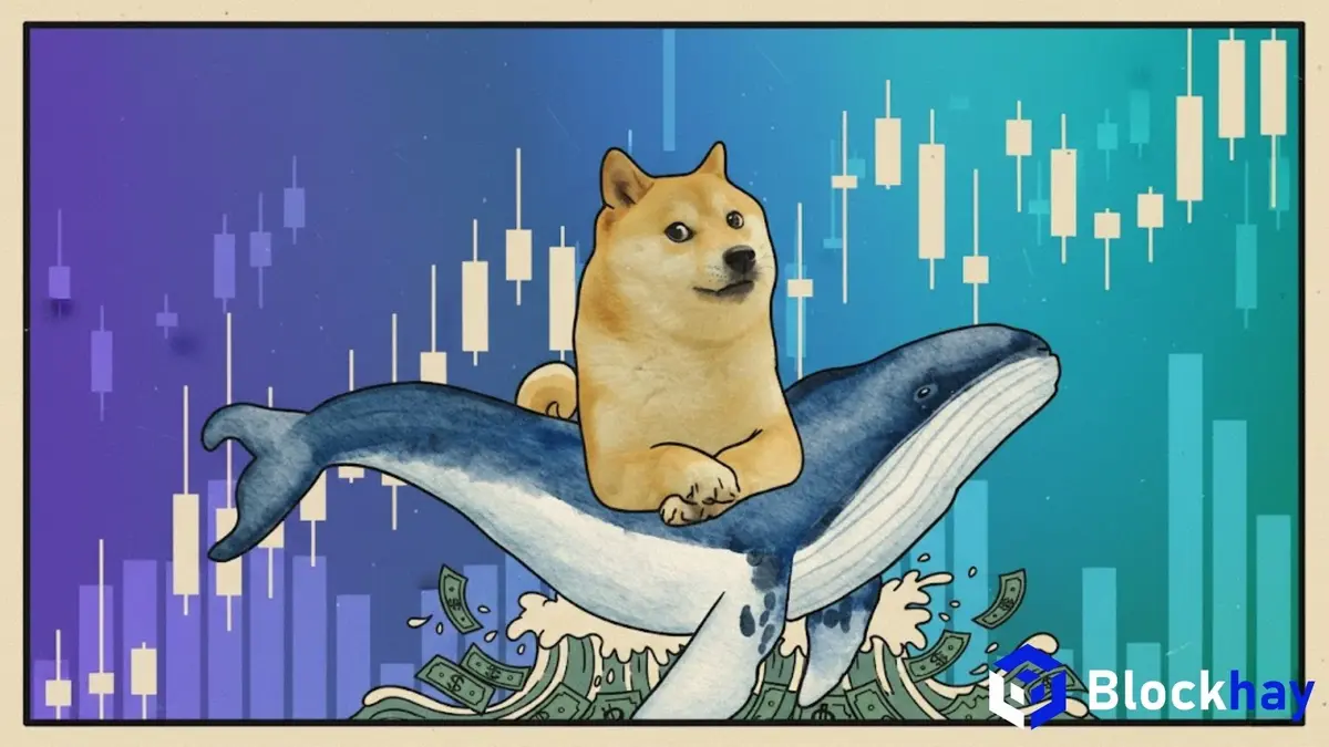 23 triệu USD rời sàn giao dịch: Cá voi đang chuẩn bị cho cú bứt phá Dogecoin?