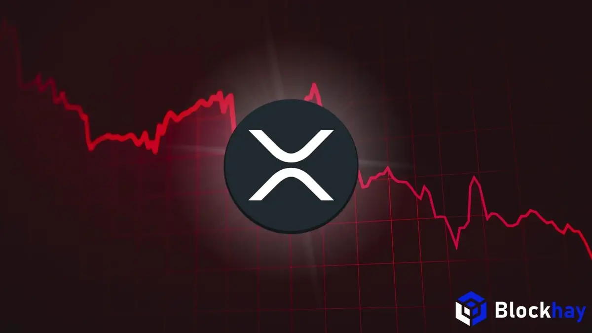 XRP bị rút máu: Cá voi bán 50 triệu USD mỗi ngày, niềm tin ETF sắp tắt