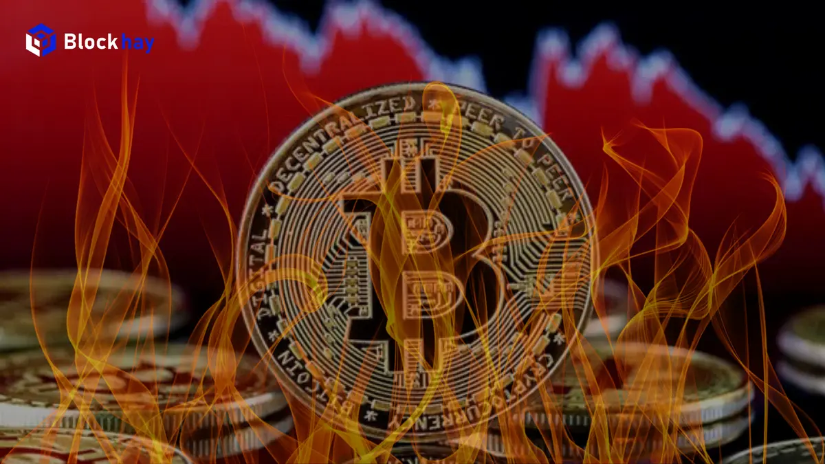 Sau-dot-thanh-ly-ai-huong-loi-va-nguyen-nhan-do-dau