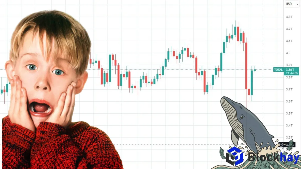 Đòn bẩy bị xóa sổ, cá voi âm thầm gom hàng: Liệu thị trường crypto đang chuẩn bị đảo chiều?