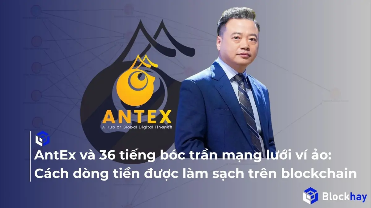 AntEx và 36 tiếng bóc trần mạng lưới ví ảo: Cách dòng tiền được làm sạch trên blockchain