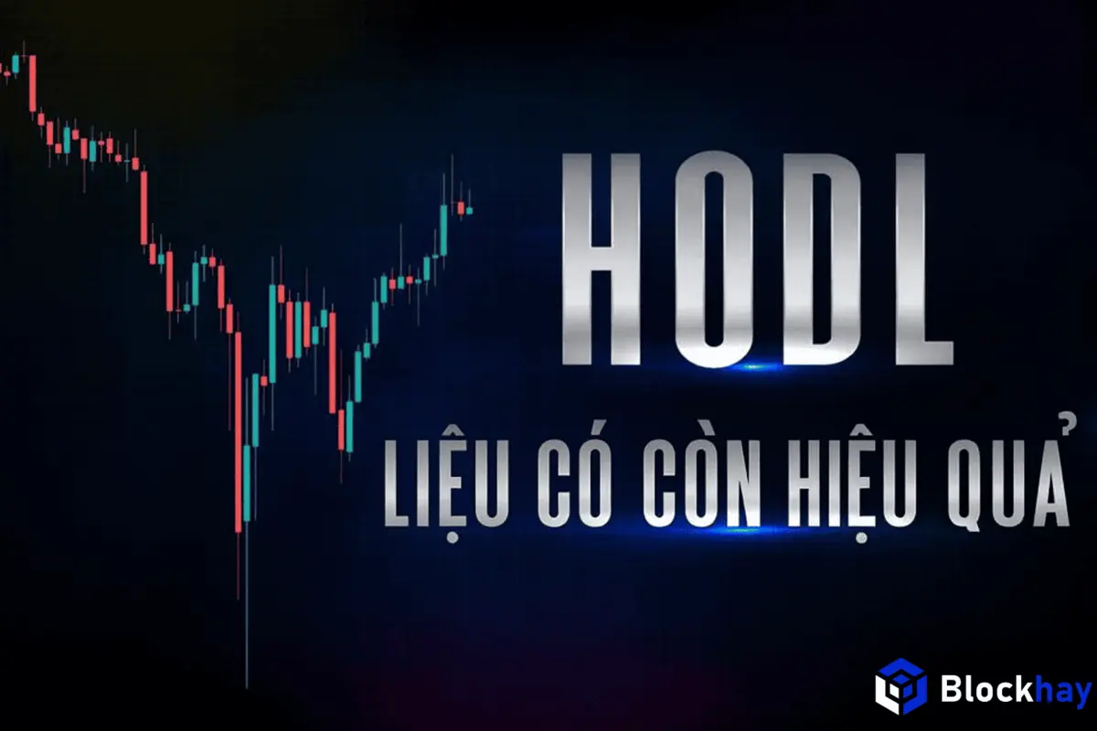 HODL-Altcoin-nhà-đầu-tư-mất-trắng