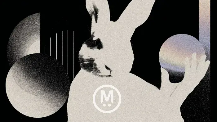 Mega-ETH-ICO-cách-giữ-lợi-nhuận